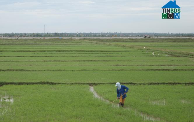 Hình ảnh Bắc Trạch, Quảng Trị