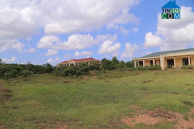 Hình ảnh Triệu Phong, Quảng Trị