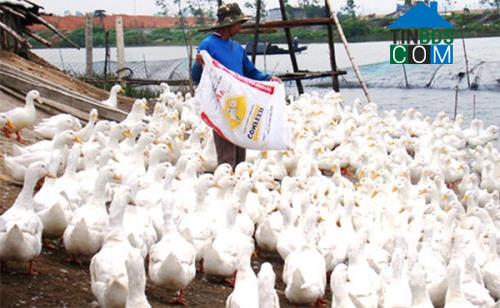 Hình ảnh Trường Phú, Quảng Trị