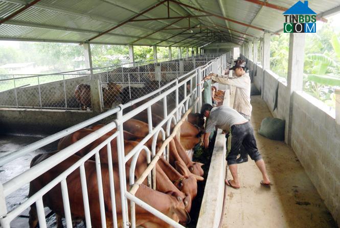 Hình ảnh Tuyên Bình, Quảng Trị