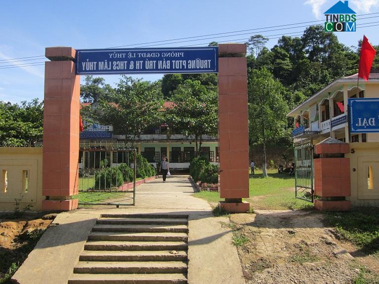 Hình ảnh Kim Ngân, Quảng Trị