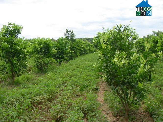 Hình ảnh Minh Hóa, Quảng Trị