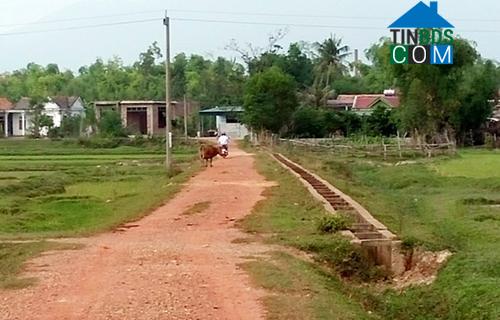 Hình ảnh Quảng Trạch, Quảng Trị