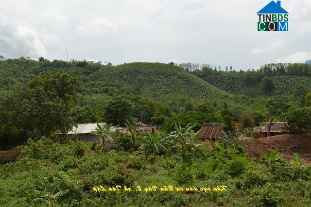 Hình ảnh Tân Lập, Quảng Trị