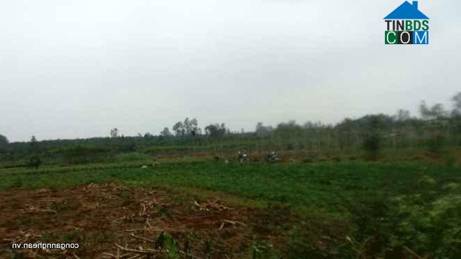 Hình ảnh Vĩnh Hoàng, Quảng Trị