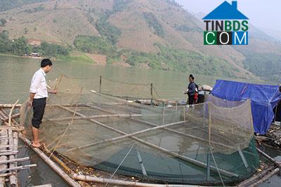 Hình ảnh Chiềng Hoa, Sơn La