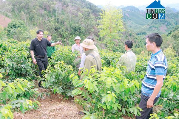Hình ảnh Chiềng Mai, Sơn La