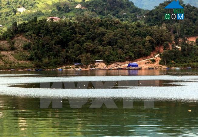 Hình ảnh Tân Phong, Sơn La