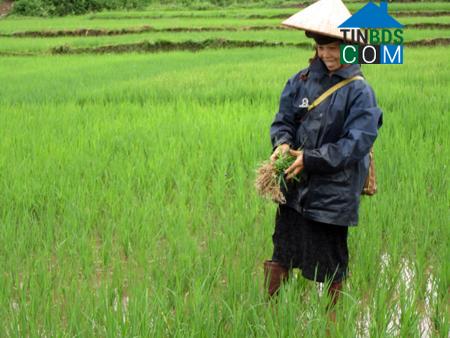 Hình ảnh Mường Bú, Sơn La