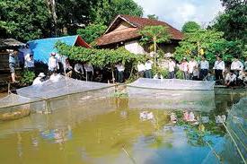 Hình ảnh Mường Cơi, Sơn La