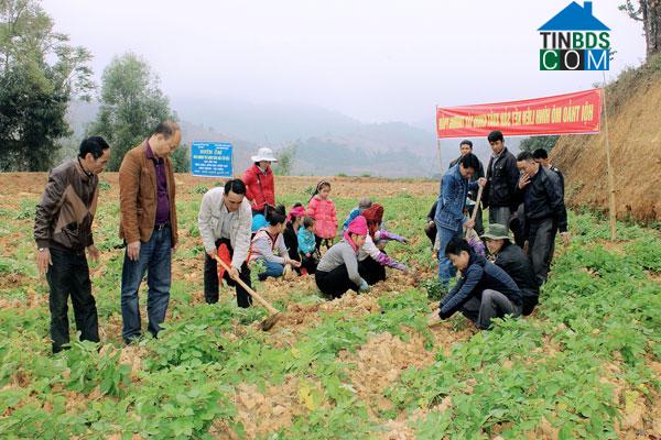 Hình ảnh Nậm Lầu, Sơn La