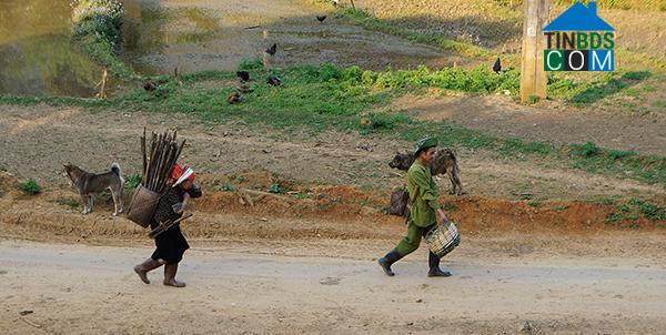 Hình ảnh Tô Múa, Sơn La