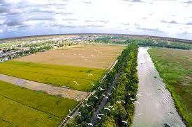 Hình ảnh Thuận Mỹ, Tây Ninh