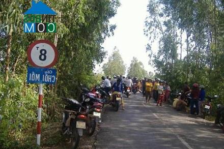 Hình ảnh Tuyên Bình, Tây Ninh