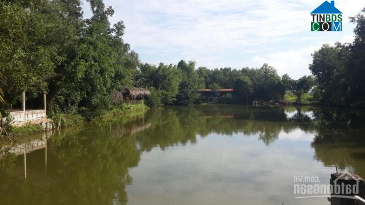 Hình ảnh Phước Thạnh, Tây Ninh