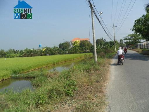 Hình ảnh Khánh Hậu, Tây Ninh