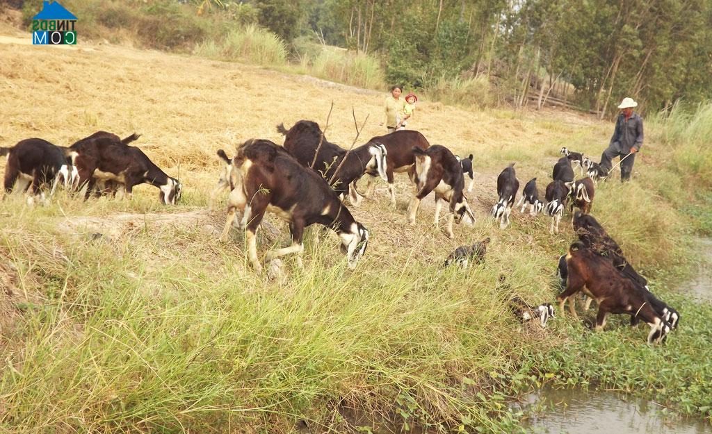 Hình ảnh Khánh Hưng, Tây Ninh