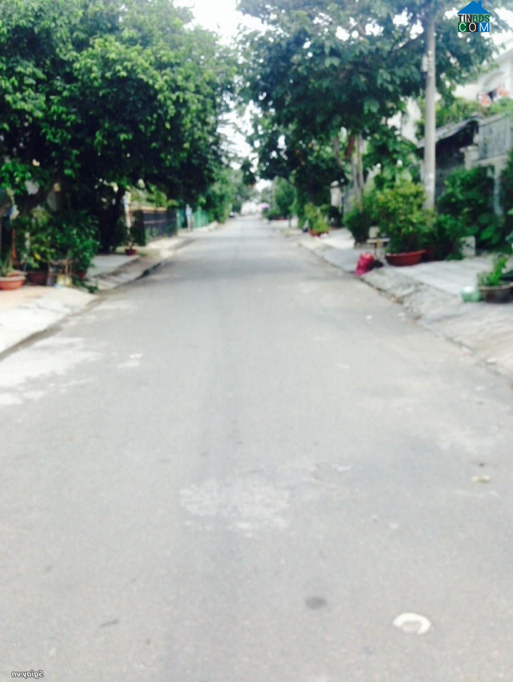 Hình ảnh Tân Ninh, Tây Ninh