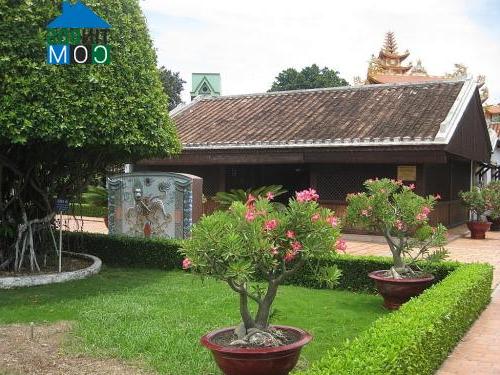 Hình ảnh Tầm Vu, Tây Ninh