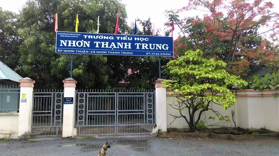 Hình ảnh Tân An, Tây Ninh