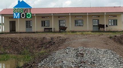 Hình ảnh Tân Hưng, Tây Ninh