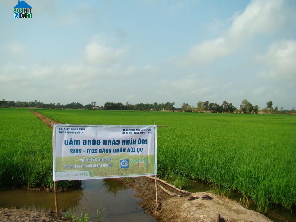 Hình ảnh Tân Tây, Tây Ninh