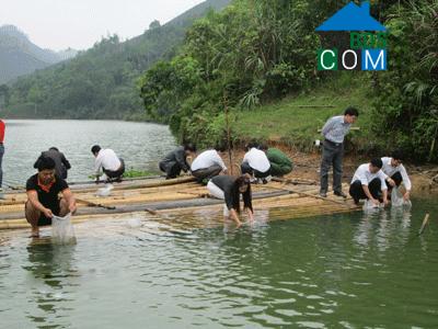 Hình ảnh Na Rì, Thái Nguyên