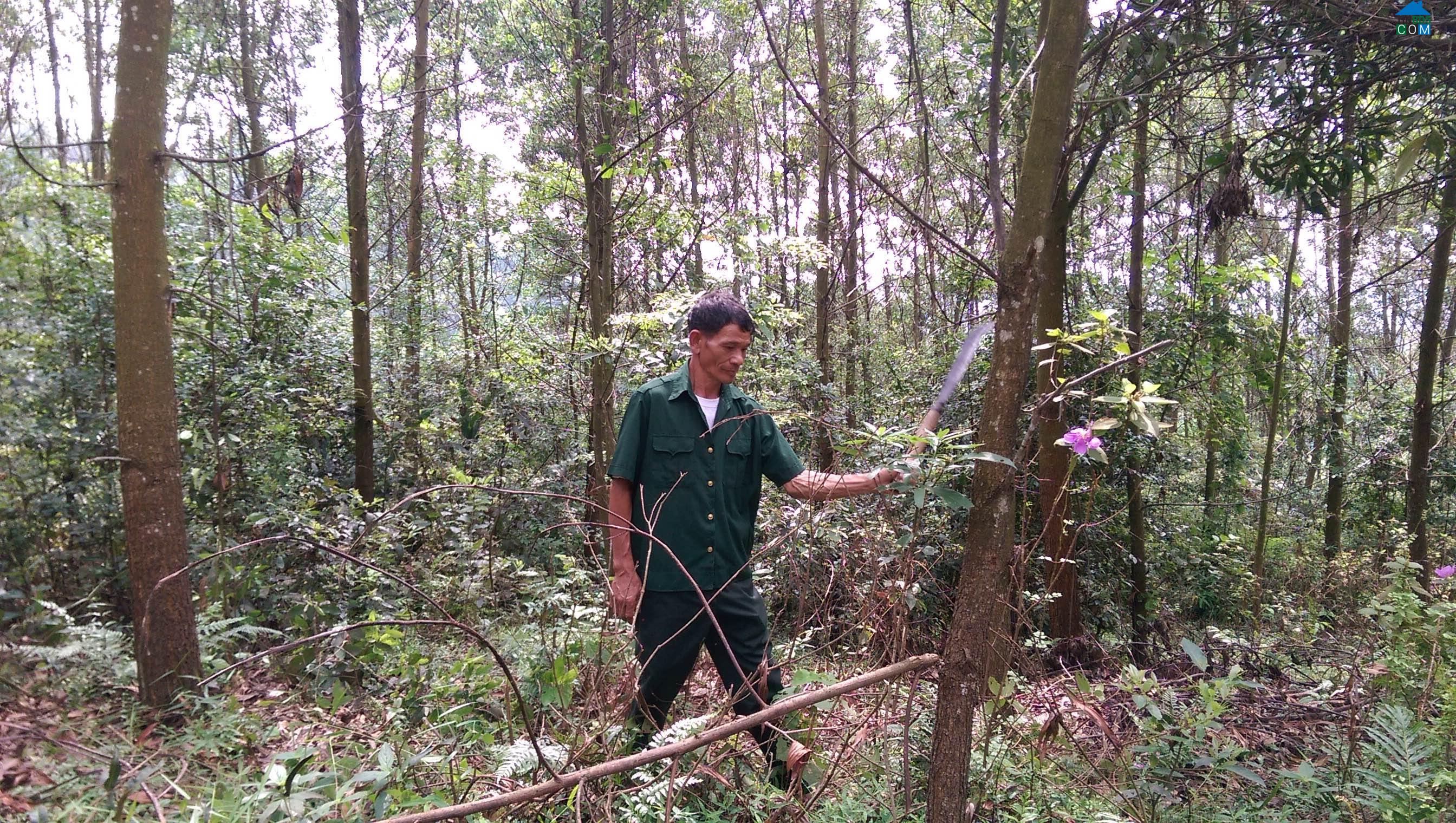 Hình ảnh Bình Yên, Thái Nguyên