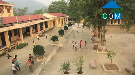 Hình ảnh Chợ Mới, Thái Nguyên