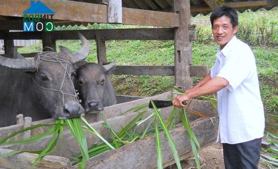 Hình ảnh Dân Tiến, Thái Nguyên