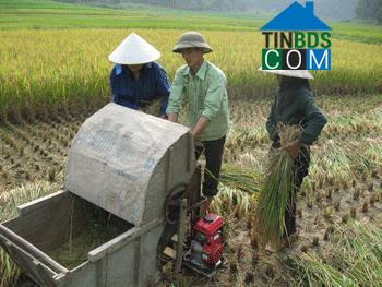 Hình ảnh Nghĩa Tá, Thái Nguyên