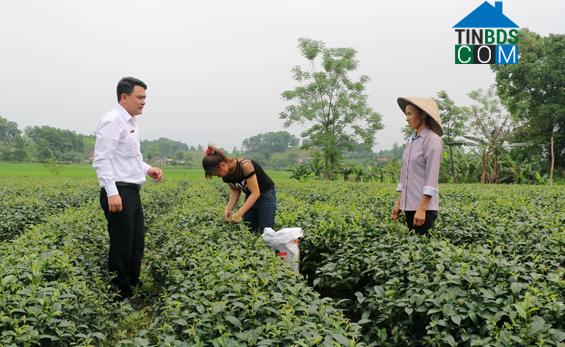 Hình ảnh Phú Lạc, Thái Nguyên