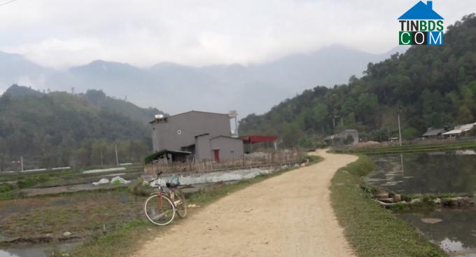 Hình ảnh Phủ Thông, Thái Nguyên