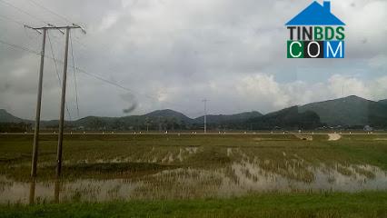 Hình ảnh Trúc Lâm, Thanh Hóa