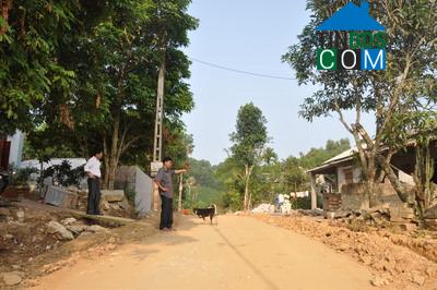 Hình ảnh Trung Hội, Thái Nguyên