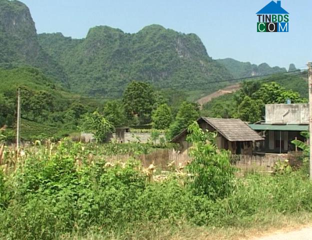 Hình ảnh Văn Lang, Thái Nguyên