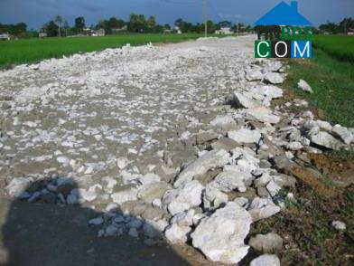 Hình ảnh An Nông, Thanh Hóa