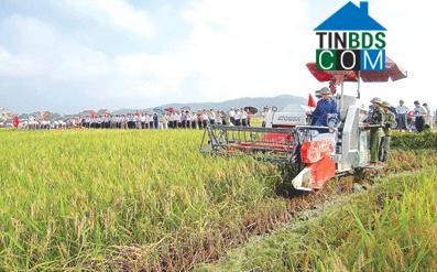 Hình ảnh Định Hòa, Thanh Hóa