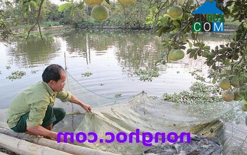 Hình ảnh Đông Sơn, Thanh Hóa