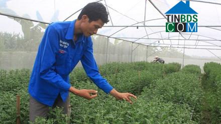 Hình ảnh Yên Ninh, Thanh Hóa