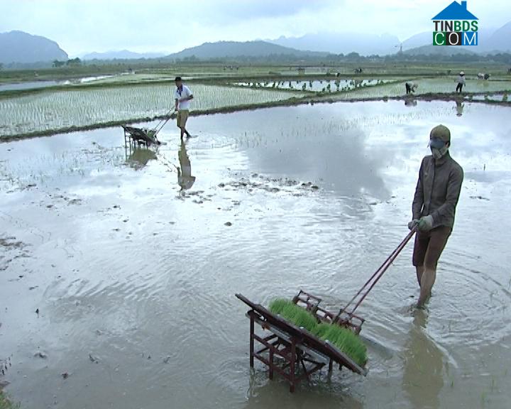 Hình ảnh Cẩm Thạch, Thanh Hóa