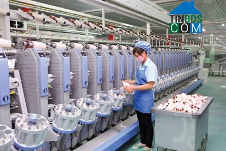 Hình ảnh Cẩm Tú, Thanh Hóa