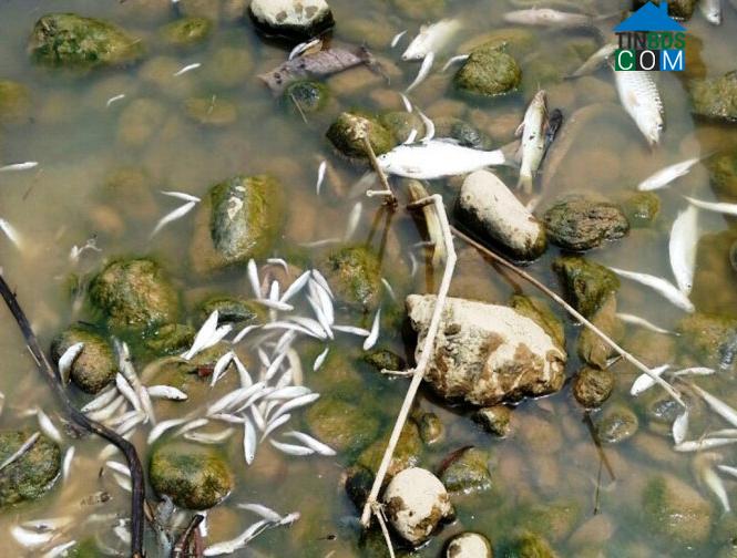 Hình ảnh Giao An, Thanh Hóa