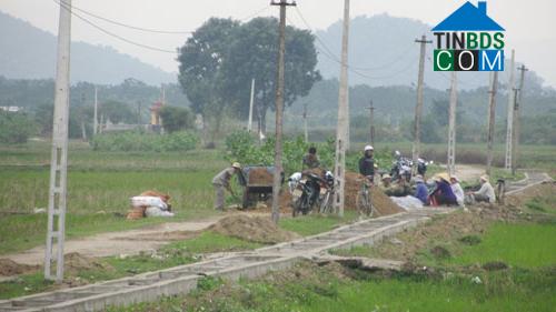 Hình ảnh Hậu Lộc, Thanh Hóa