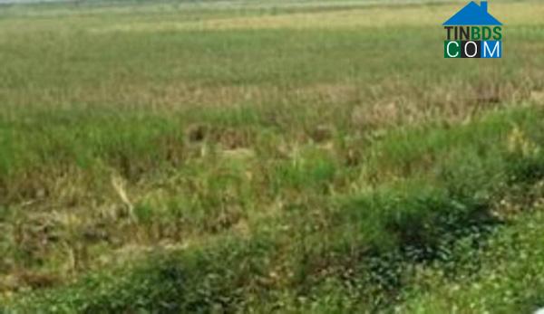 Hình ảnh Hợp Tiến, Thanh Hóa