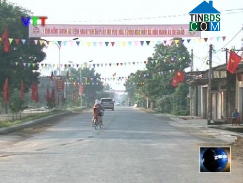 Hình ảnh Tân Ninh, Thanh Hóa