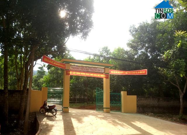 Hình ảnh Thạch Bình, Thanh Hóa