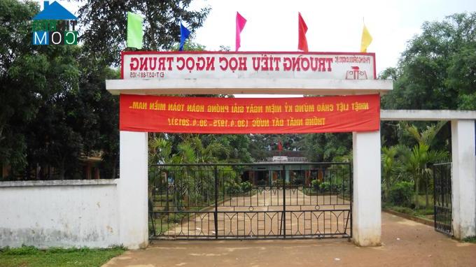 Hình ảnh Ngọc Liên, Thanh Hóa