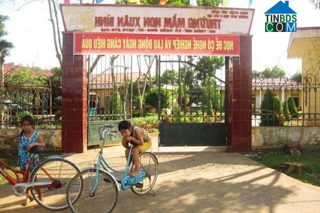 Hình ảnh Xuân Bình, Thanh Hóa