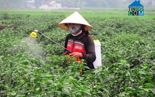 Hình ảnh Thọ Long, Thanh Hóa